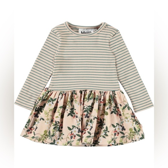 Molo Other - Molo Baby Carel Bramble Rose Long Sleeve Dress - Size 6m (68)